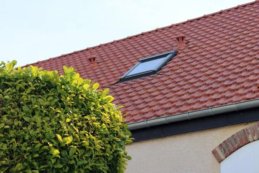 Démoussage à Saint-Quentin